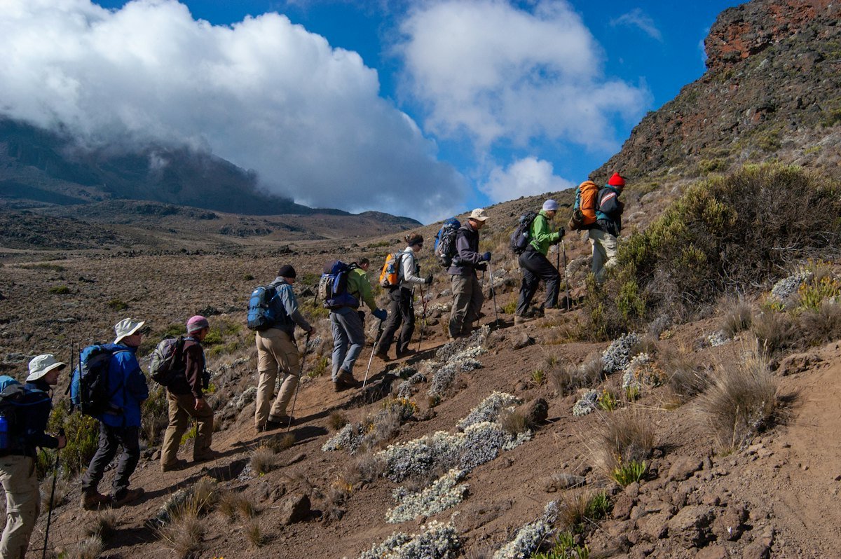 A group of hikers on a Kilimanjaro trail